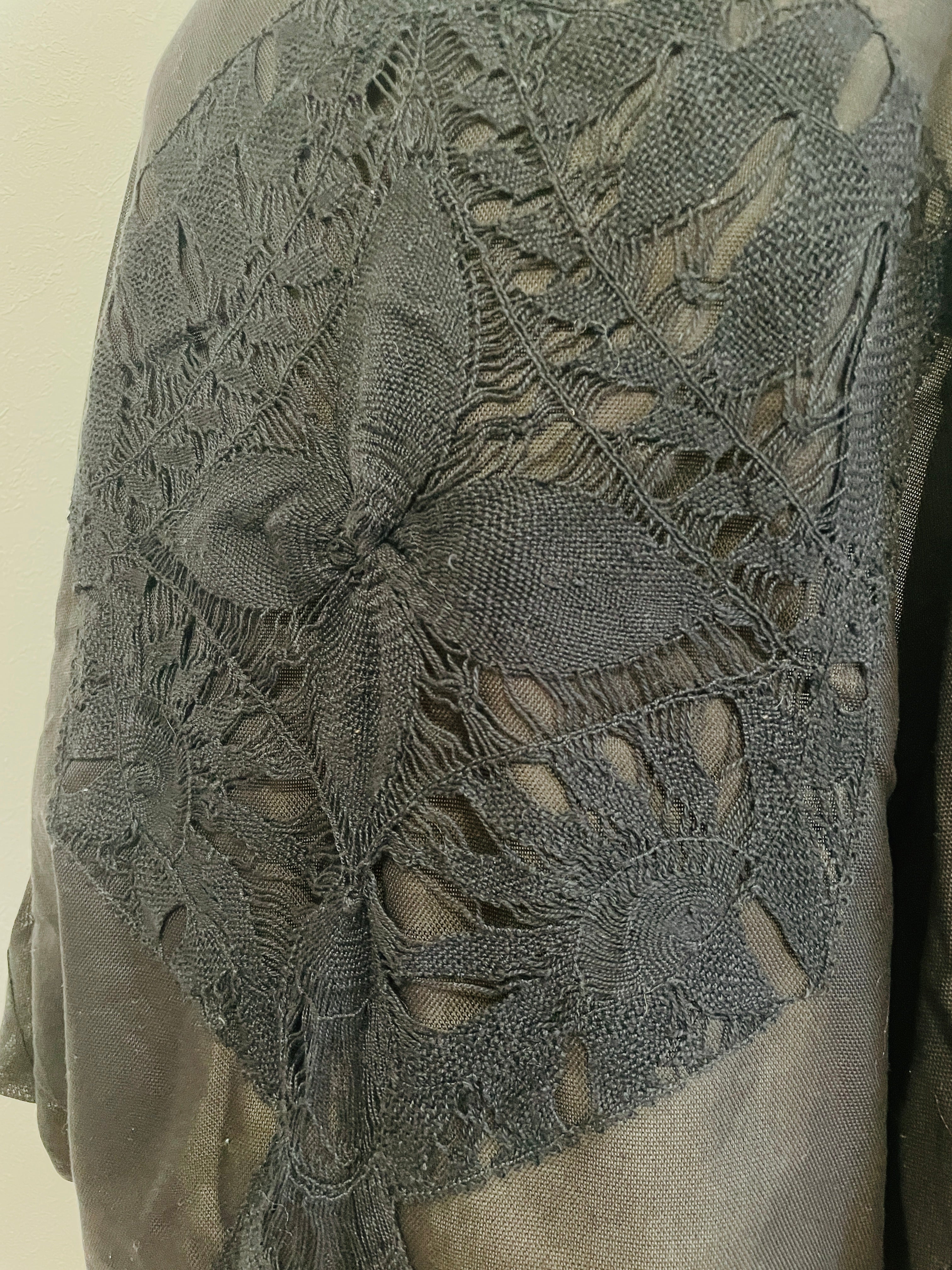 アオポイとニャンドゥティのケープ