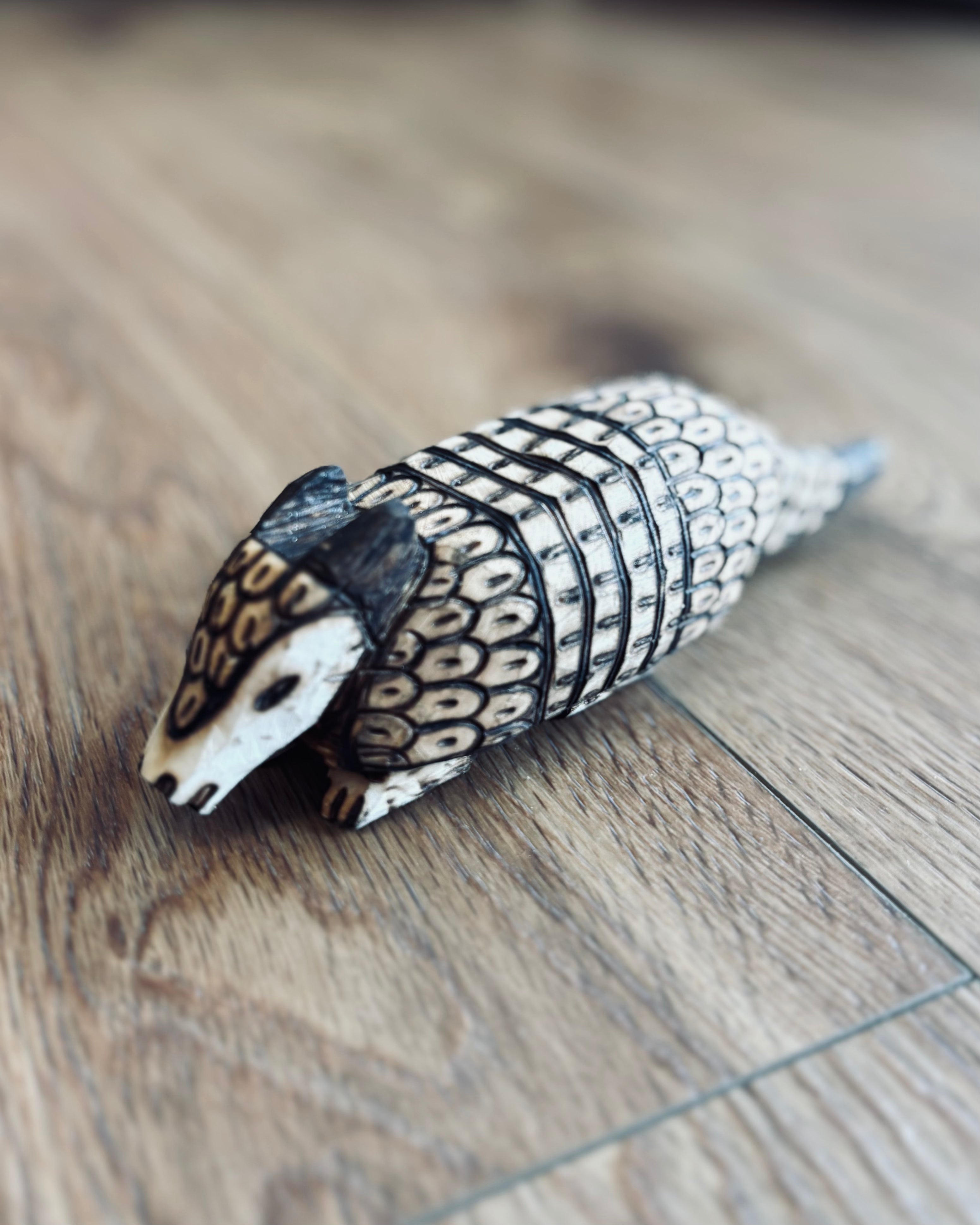 大地をまとうもの ― Ava族 木彫りアルマジロ