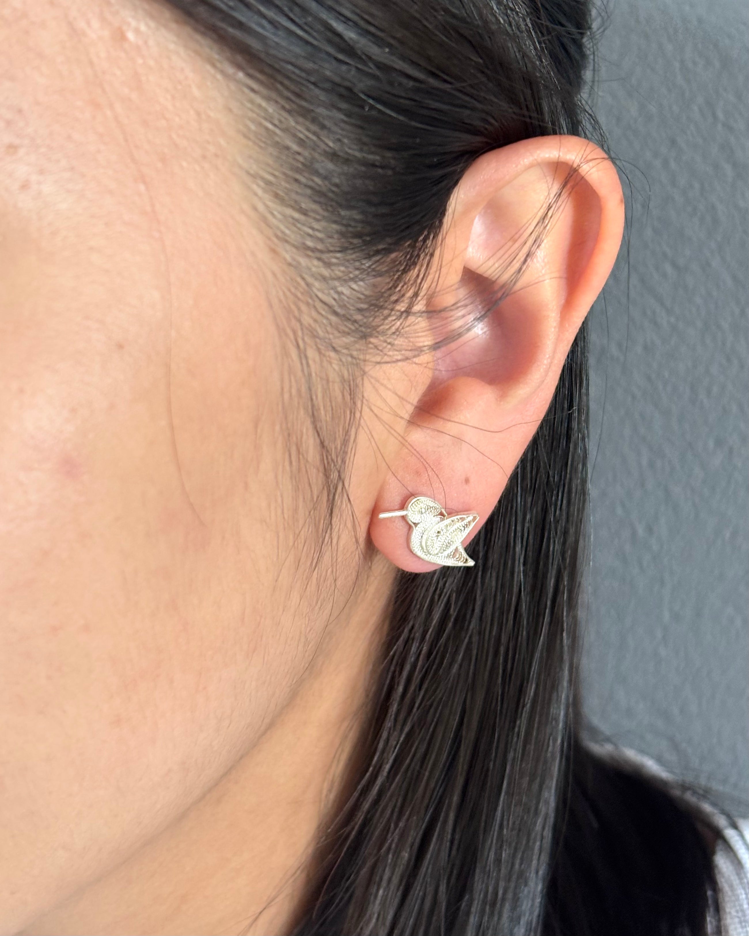 Colibrí|想いを運ぶハチドリ