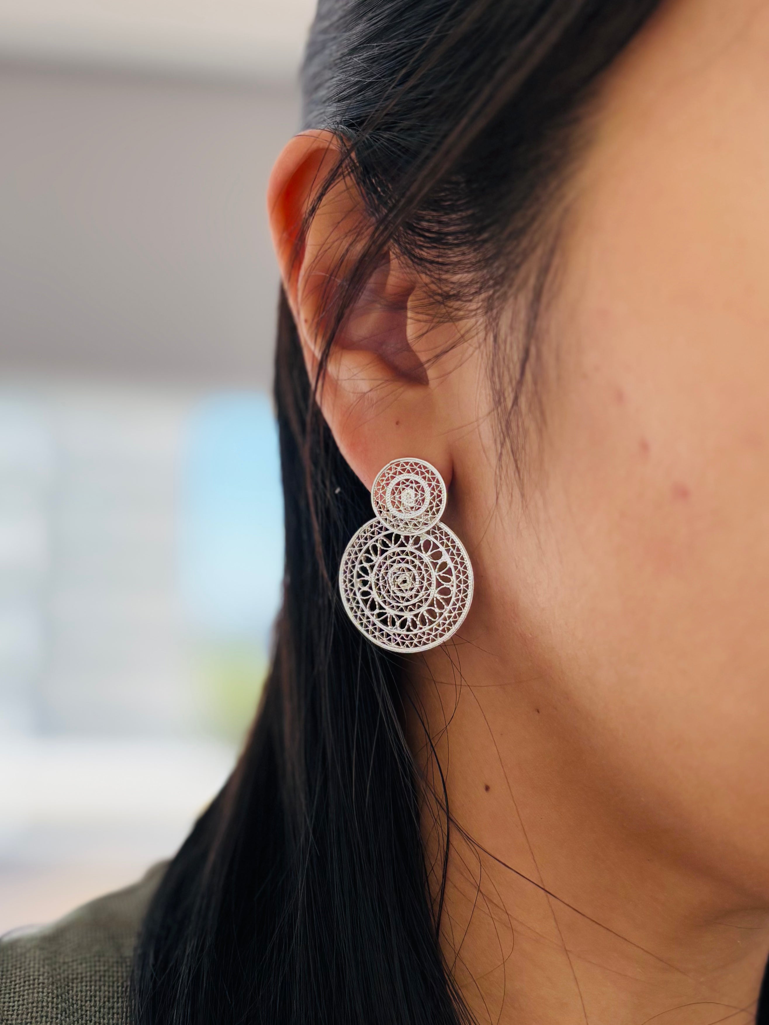 ciclo de vida|巡り