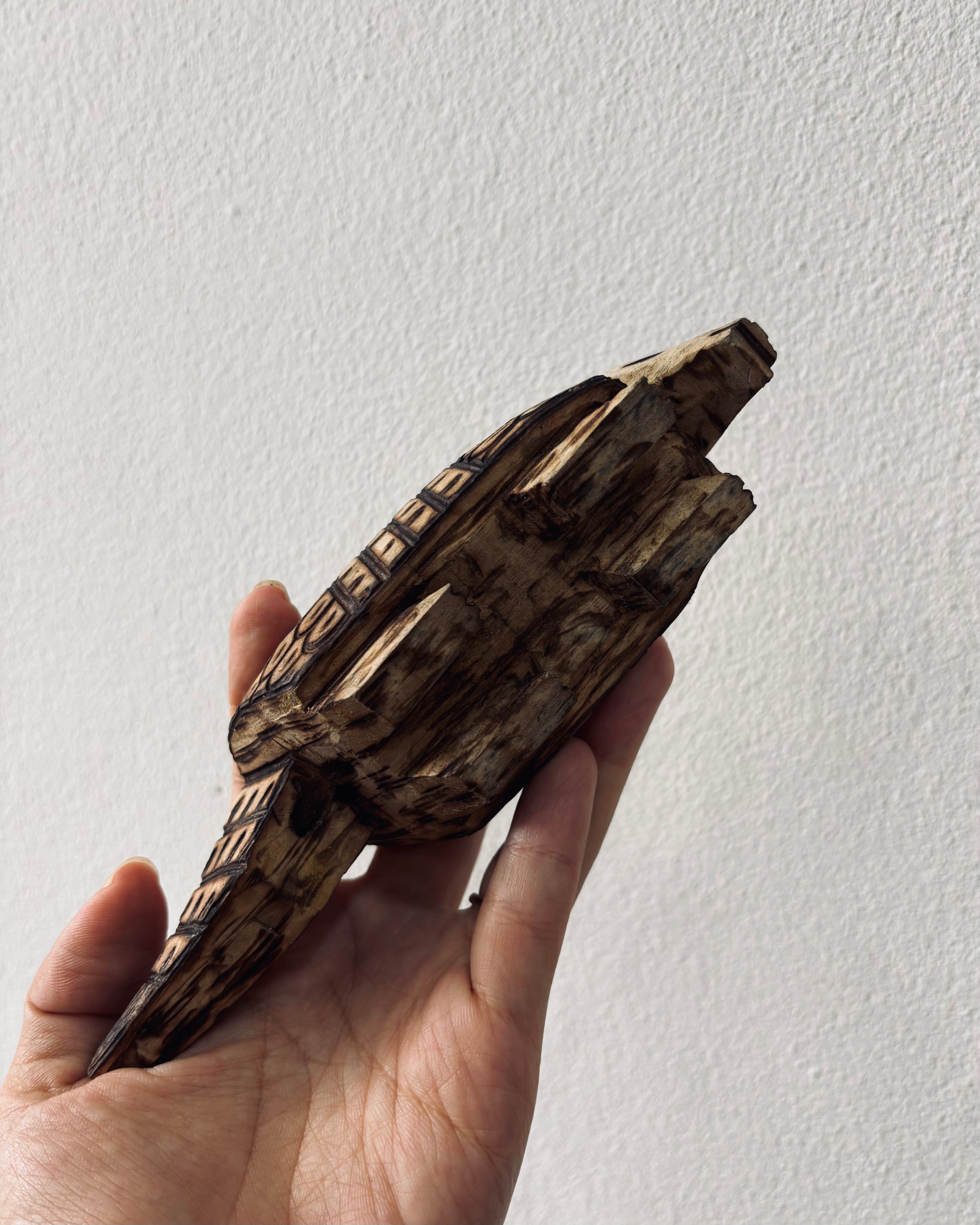 大地をまとうもの ― Ava族 木彫りアルマジロ