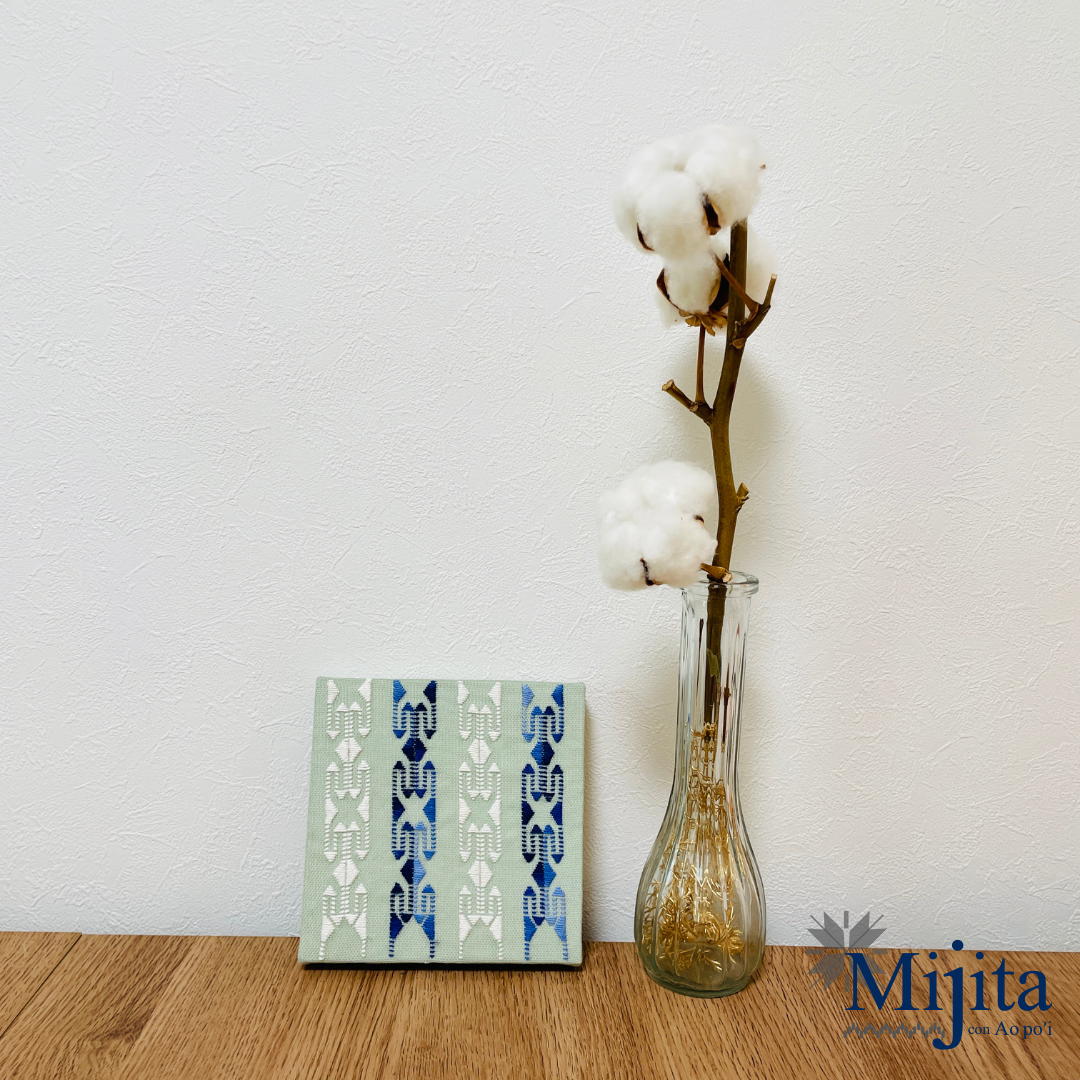 Piernas de rana | カエルの脚