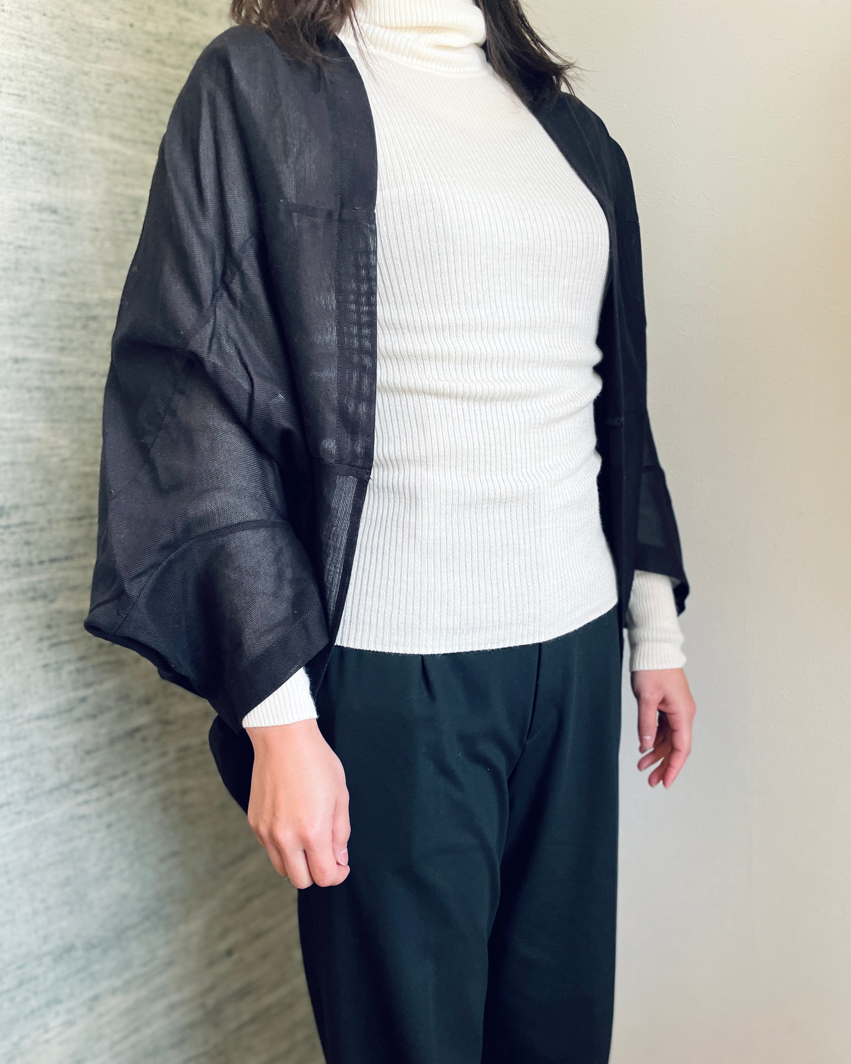 アオポイとニャンドゥティのケープ